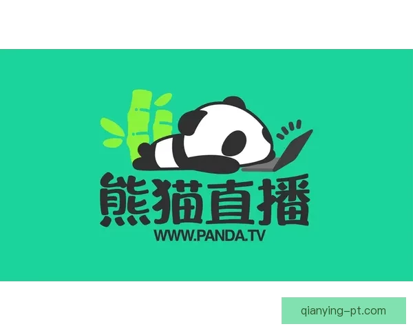 2026世界杯各参赛球队完整名单及球员阵容深度解析